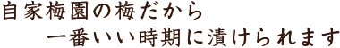 自家梅園の梅だから一番いい時期に漬けられます